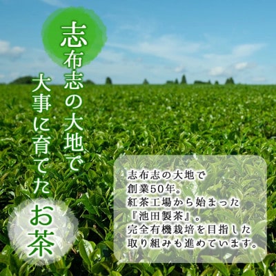 おうち抹茶でカフェ気分 計70g(1g×70本)