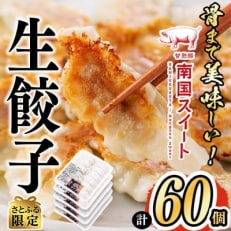 【さとふる限定】亀川さんの甘熟豚南国スイート生餃子 (60個) | ふるさと納税のお礼品