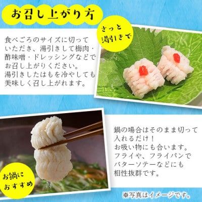 お鍋・はもしゃぶにも!志布志湾鱧(骨切り済み)300g×2パック 計600g!