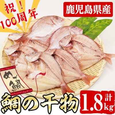 数量限定!【祝!創業100周年】めでたい!志布志湾天然桜鯛の干物 計1.8kg(5～7匹前後)