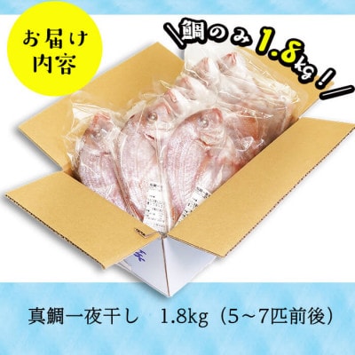数量限定!【祝!創業100周年】めでたい!志布志湾天然桜鯛の干物 計1.8kg(5～7匹前後)