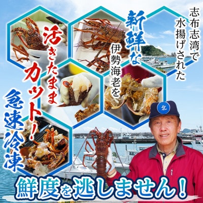 【数量限定】鹿児島県志布志湾産 カット済み天然伊勢海老(味噌汁用)計540g(270g×2P)