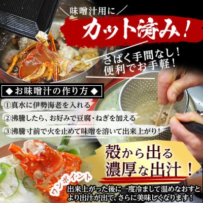【数量限定】鹿児島県志布志湾産 カット済み天然伊勢海老(味噌汁用)計540g(270g×2P)