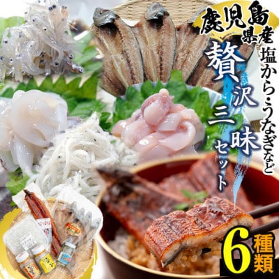 鹿児島県産贅沢三昧セット!鰻蒲焼、アジの干物、釜揚げちりめん、塩辛3種食べ比べ 計6種!b5-181