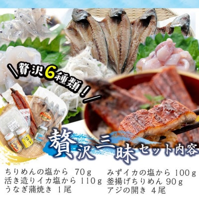 鹿児島県産贅沢三昧セット!鰻蒲焼、アジの干物、釜揚げちりめん、塩辛3種食べ比べ 計6種!b5-181
