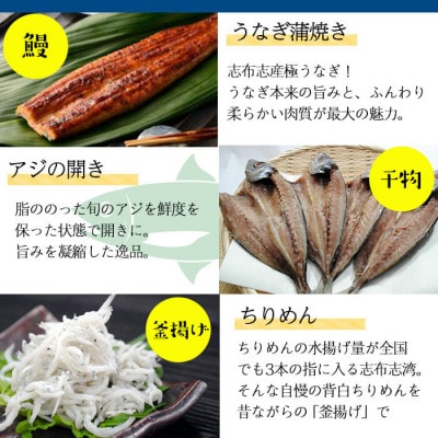 鹿児島県産贅沢三昧セット!鰻蒲焼、アジの干物、釜揚げちりめん、塩辛3種食べ比べ 計6種!b5-181
