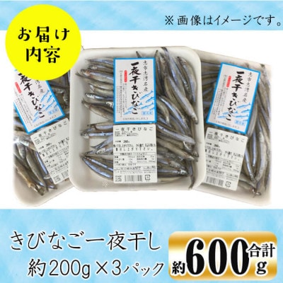 鹿児島県産 黒潮の恵み 天然物 きびなご 一夜干し 約200g×3パック(合計約600g)!