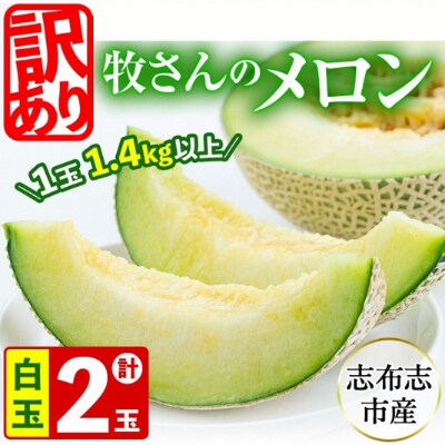 【冬限定・数量限定】牧さんの訳ありメロン 白玉(青肉)計2玉