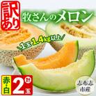 【冬限定・数量限定】牧さんの訳ありメロン 赤玉・白玉 計2玉(赤肉・青肉 各1玉)
