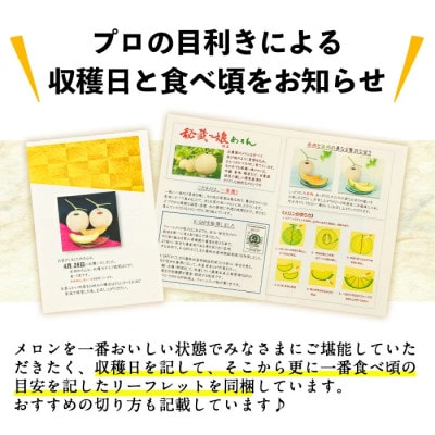 【冬限定・数量限定】牧さんの訳ありメロン 赤玉・白玉 計2玉(赤肉・青肉 各1玉)