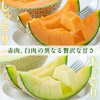 【冬限定・数量限定】牧さんの訳ありメロン 赤玉・白玉 計2玉(赤肉・青肉 各1玉)