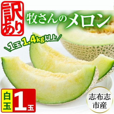 【春限定・数量限定】牧さんの訳ありメロン 白玉(青肉)1玉