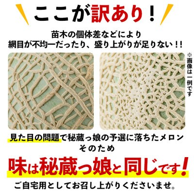 【春限定・数量限定】牧さんの訳ありメロン 白玉(青肉)1玉