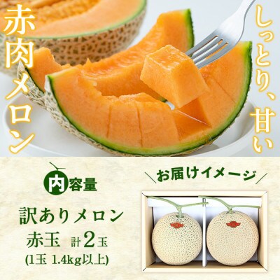 【春限定・数量限定】牧さんの訳ありメロン 赤玉(赤肉)計2玉