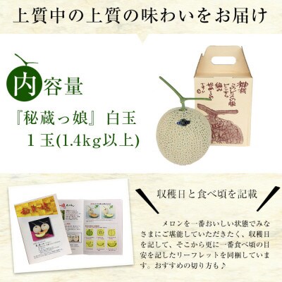 鹿児島県志布志産の高級メロン『秘蔵っ娘』(白玉×1個・1.4kg以上)