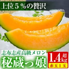 鹿児島県志布志産の高級メロン『秘蔵っ娘』(赤玉×1個 1.4kg以上)