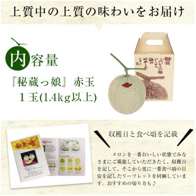 鹿児島県志布志産の高級メロン『秘蔵っ娘』(赤玉×1個 1.4kg以上)