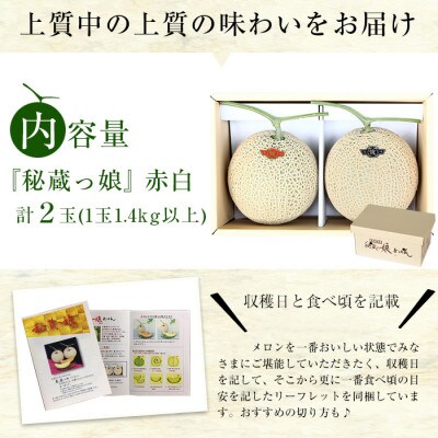 鹿児島県志布志産高級メロン『秘蔵っ娘』(赤白各1個、計2個・各1.4kg以上)