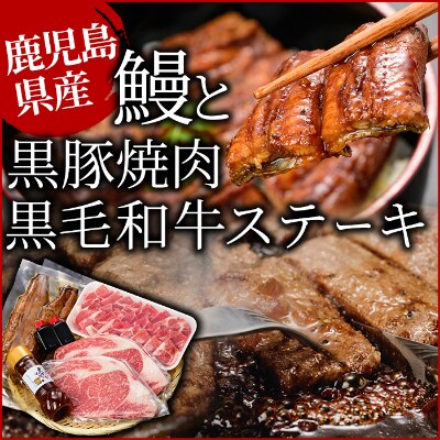 鹿児島自慢3点セット(うなぎ・黒毛和牛サーロインステーキ・黒豚肩ロース)合計約1.1kg