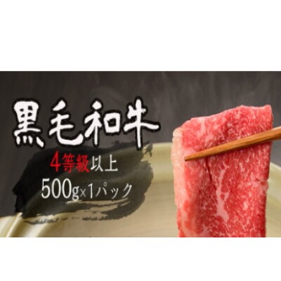 鹿児島自慢3点セット(うなぎ・黒毛和牛しゃぶ肉・黒豚しゃぶ肉)合計約1.1kg