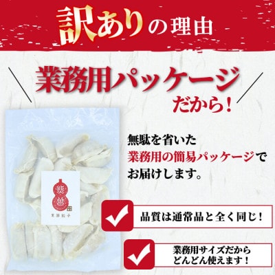 【訳あり】鹿児島県志布志産黒豚100%使用!南国熊曽黒豚餃子(60個)