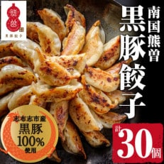 鹿児島県志布志産黒豚100%使用!南国熊曽黒豚餃子(30個)