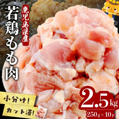 鹿児島県産若鶏もも肉切身 計2.5kg(250g×10P)