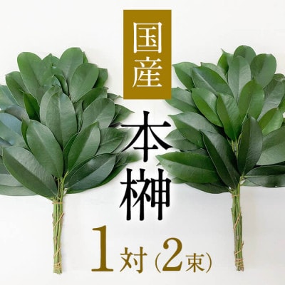 鹿児島榊の本榊 1対(2束)セット!【鹿児島県産】