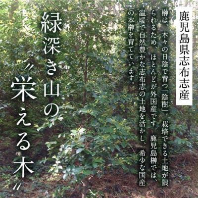 鹿児島榊の本榊 1対(2束)セット!【鹿児島県産】