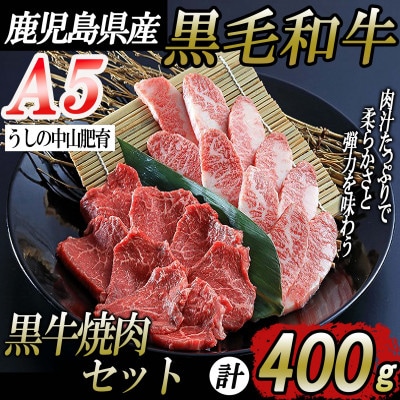 鹿児島県産黒毛和牛A5ランク焼肉セット400g