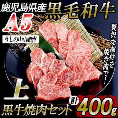 鹿児島県産黒毛和牛A5ランク上焼肉セット400g