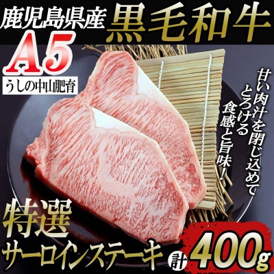 鹿児島県産黒毛和牛A5ランク特選サーロインステーキ200g×2P