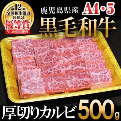 【数量限定】A4・A5等級うしの中山黒毛和牛厚切りカルビ(500g)