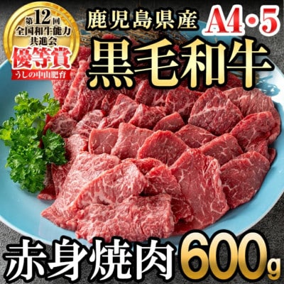 鹿児島県産 A4・A5等級 うしの中山 黒毛和牛 赤身焼肉用 600g【nixy CHUZAN】