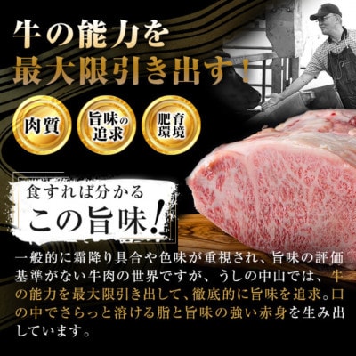 鹿児島県産 A4・A5等級 うしの中山 黒毛和牛 赤身焼肉用 600g【nixy CHUZAN】