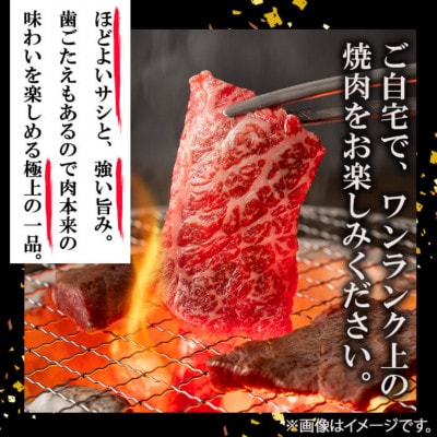 鹿児島県産 A4・A5等級 うしの中山 黒毛和牛 赤身焼肉用 600g【nixy CHUZAN】