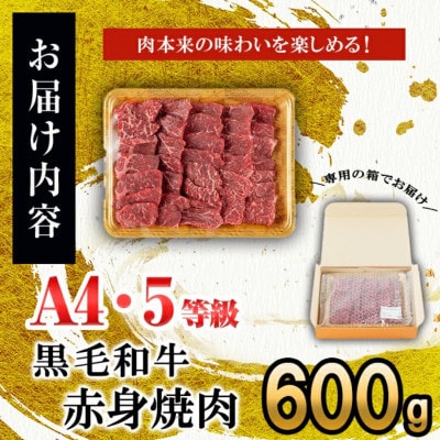 鹿児島県産 A4・A5等級 うしの中山 黒毛和牛 赤身焼肉用 600g【nixy CHUZAN】