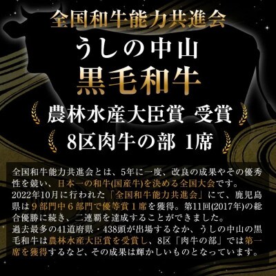 A4・A5等級 鹿児島県産 黒毛和牛 うしの中山 極上 赤身薄切りスライス 約500g b5-188