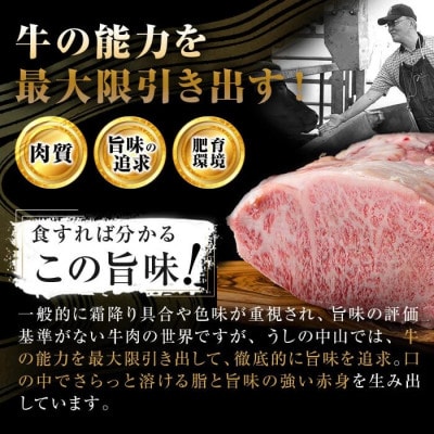 A4・A5等級 鹿児島県産 黒毛和牛 うしの中山 極上 赤身薄切りスライス 約500g b5-188