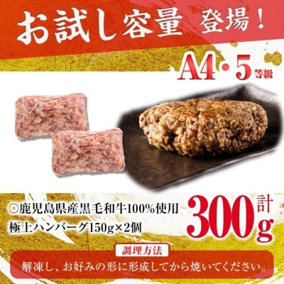 A4・A5等級 鹿児島県産黒毛和牛100%使用極上ハンバーグ計300g(150g×2個)p8-15
