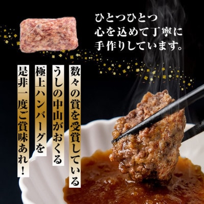 極上手ごねハンバーグ【A4・A5等級 鹿児島県産黒毛和牛100%使用】計1.5kg a5-30
