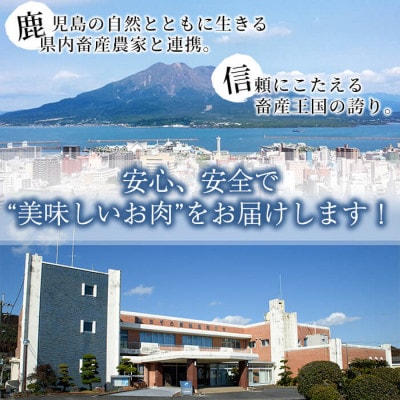 鹿児島茶美豚とんかつセット(計900g[300g×3P])