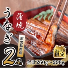 【さとふる限定】鹿児島県産 伊崎田のうなぎ蒲焼 2尾(合計260g～298g)