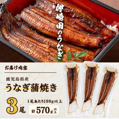 【数量限定】鹿児島県産 伊崎田のうなぎ蒲焼【約190g】×3尾(計約570g) c0-114