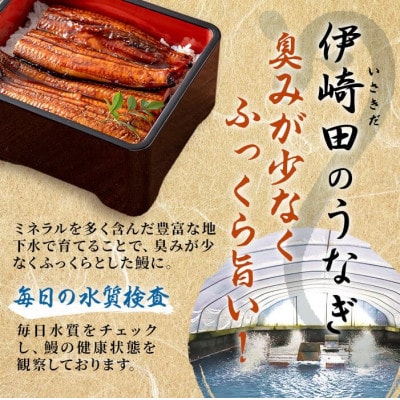 鹿児島県産 伊崎田のうなぎ蒲焼【約130g】×5尾(計約650g) b8-033