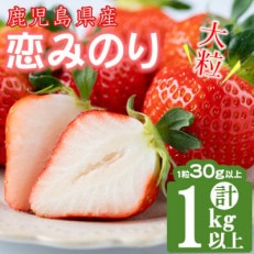 数量・期間限定!鹿児島県産朝採れイチゴ「恋みのり」計1kg以上(250～270g&times;4パック)