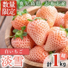 【数量限定】白いちご「淡雪」計1kg以上(270g以上×4パック)　b5-045