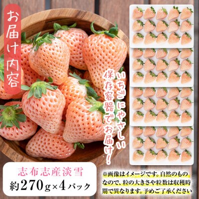 【数量限定】白いちご「淡雪」計1kg以上(270g以上×4パック) b5-045