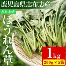 【数量限定】志布志湾ほうれん草計1kg(200g&times;5袋)