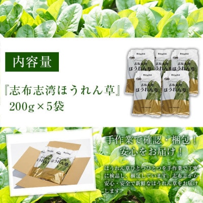 【数量限定】志布志湾ほうれん草計1kg(200g×5袋)